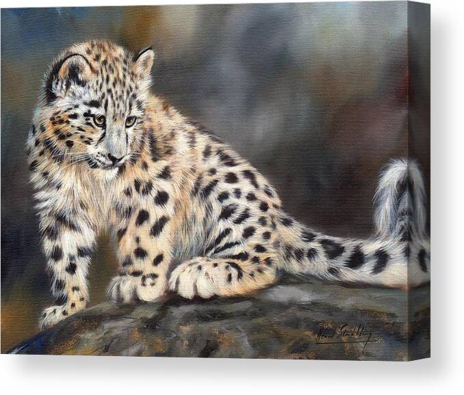 Snow Leopard Canvas Print featuring the painting Snow Leopard Cub by David Stribbling