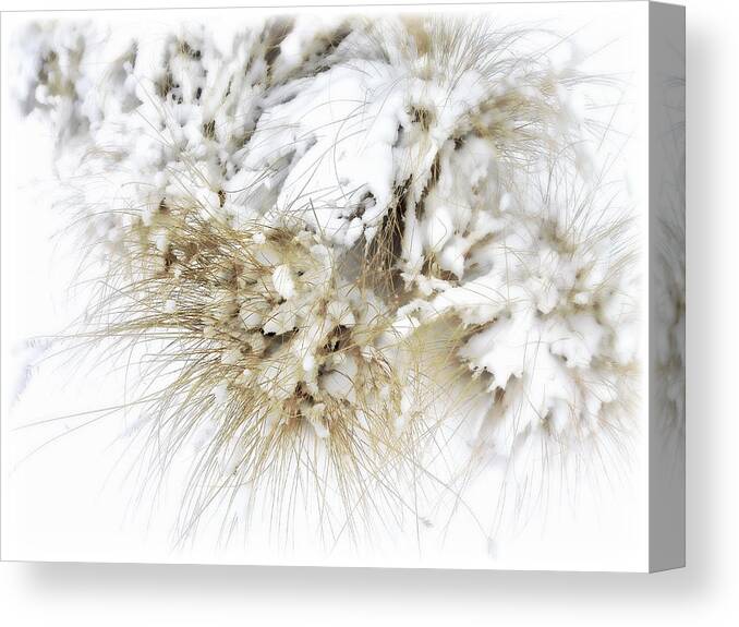 Snow Canvas Print featuring the photograph Snow Whiskers by Julie Palencia