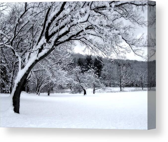 Snow Canvas Print featuring the digital art Snowfall by Bruce Rolff