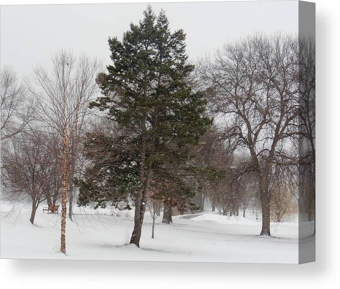 Trees Canvas Print featuring the photograph Snowfall Dreams by Wild Thing