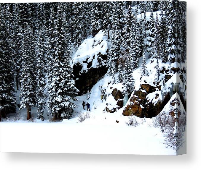Snowshoe Canvas Print featuring the photograph Snowshoers by Connor Beekman