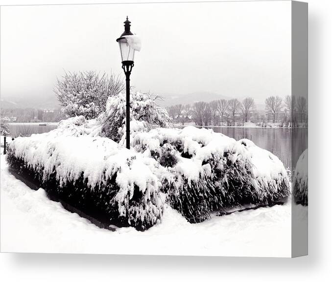Iron Canvas Print featuring the photograph Snowy Lamp Post by the River Danube by Menega Sabidussi
