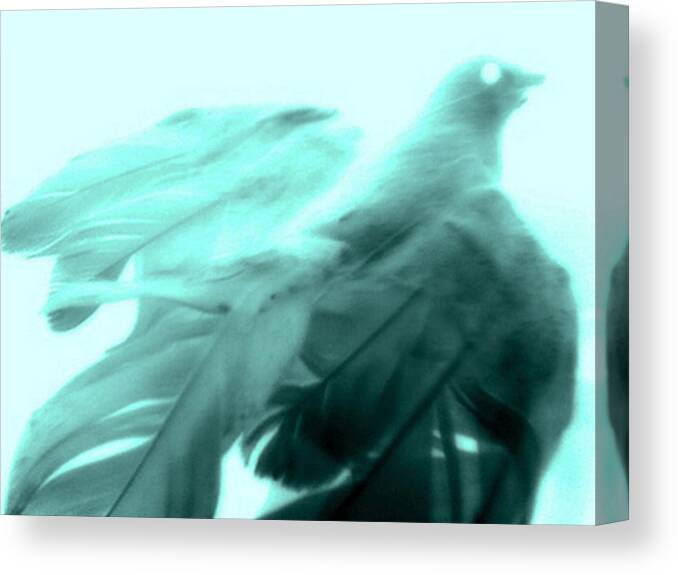 Digital Photography Canvas Print featuring the photograph Soar by Linda N La Rose