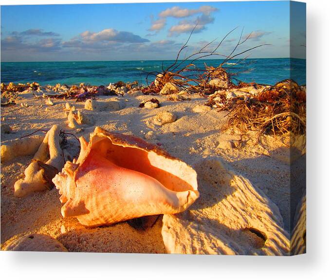 Beach Canvas Print featuring the photograph Solitude by Capt Pat Moran