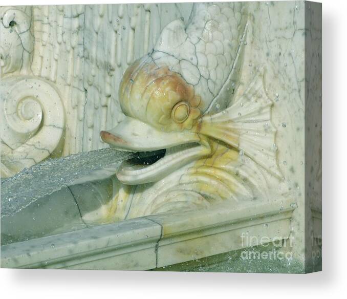 Sculpture Canvas Print featuring the photograph Somewhat Fishy by Ann Horn