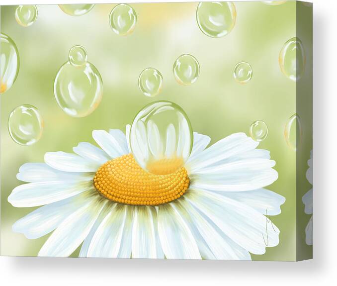 Daisy Canvas Print featuring the painting Spring bubble by Veronica Minozzi