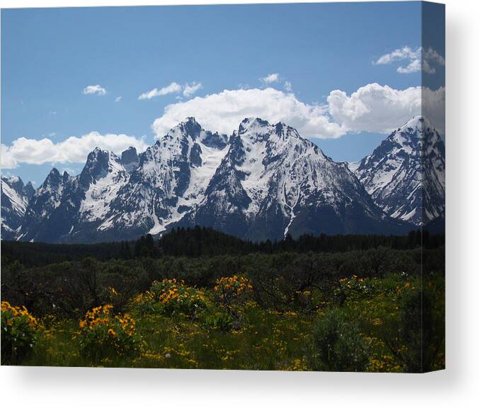 Tetons Canvas Print featuring the photograph Spring in Grand Tetons National Park by Jean Clark