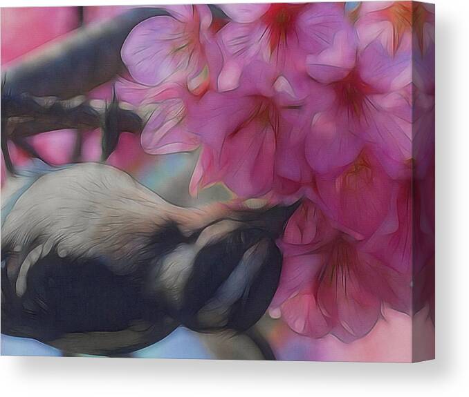Woodpecker Canvas Print featuring the digital art Springtime Woodpecker Digital Art by Ernest Echols