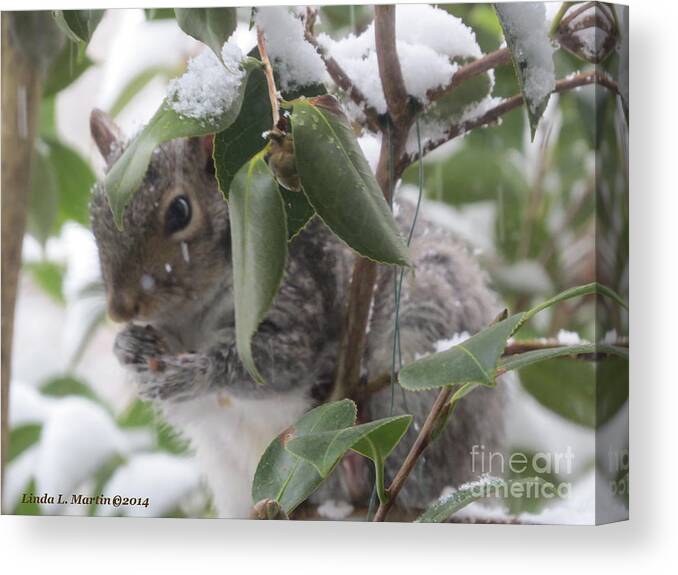 Squirrel Canvas Print featuring the photograph Squirrel In Snow 1 by Linda L Martin