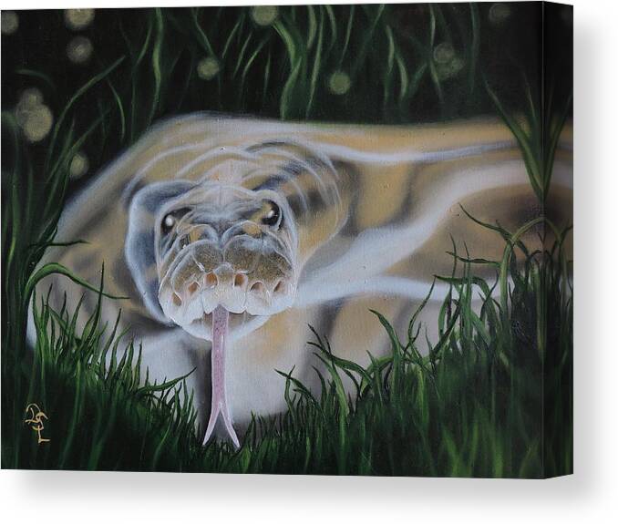 Reptiles Canvas Print featuring the painting Ssssmantha by Dianna Lewis