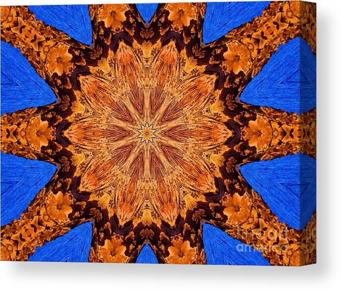 Star Bright Canvas Print featuring the photograph Star Bright by Annette Allman