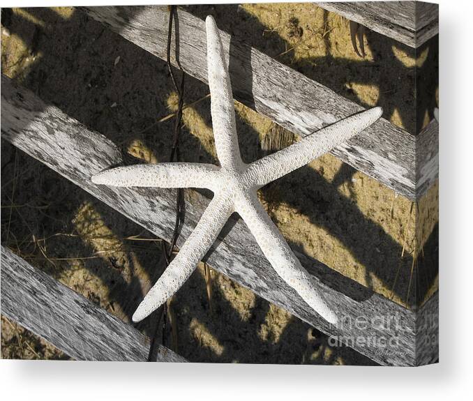 Starfish Canvas Print featuring the photograph Starring Me by Colleen Kammerer