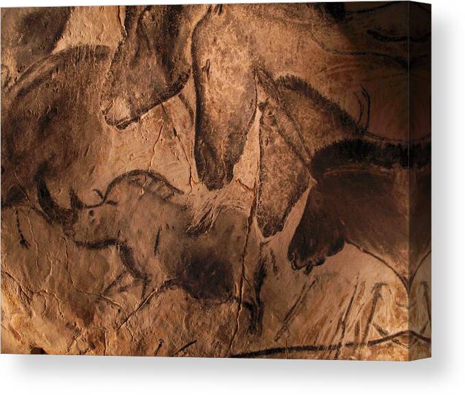 Animal Canvas Print featuring the photograph Stone-age Cave Paintings by Javier Truebamsf