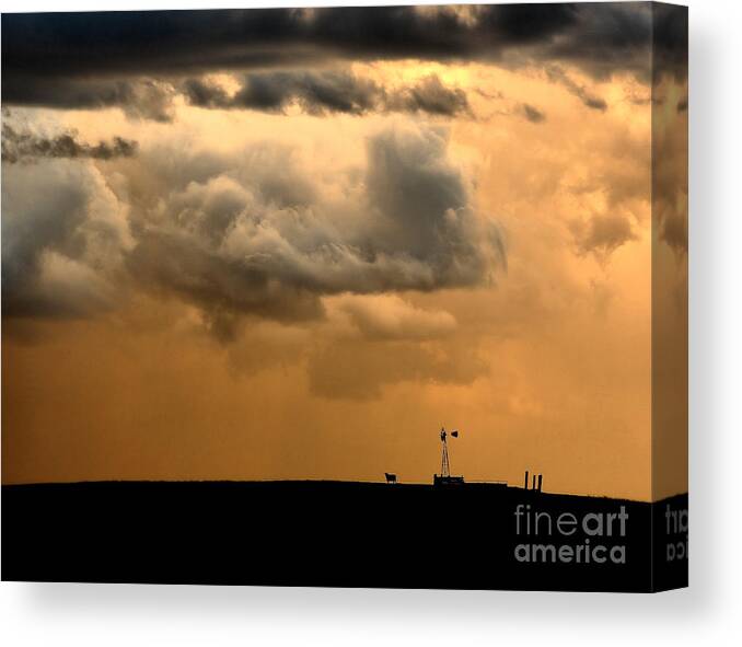 Nature Canvas Print featuring the photograph Storm's a Brewing by Steven Reed