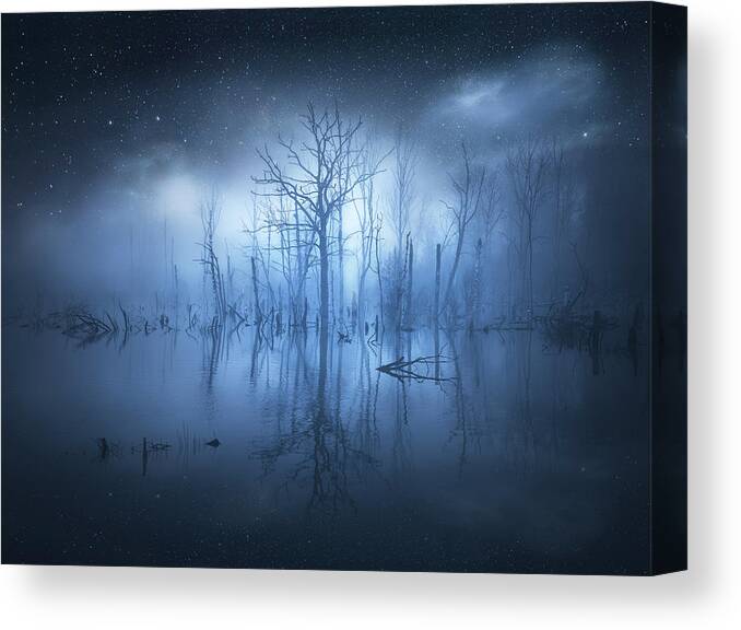 Atmosphere Canvas Print featuring the photograph Stranger Things by Christian Lindsten