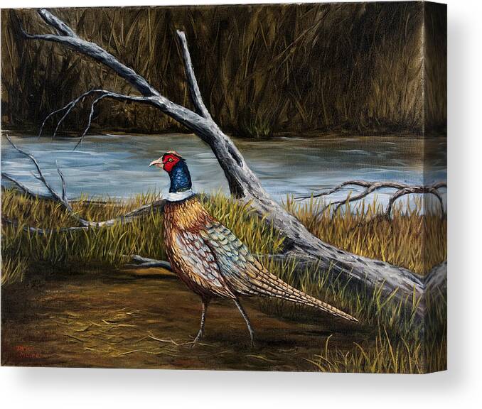 Bird Canvas Print featuring the painting Strutting Pheasant by Darice Machel McGuire