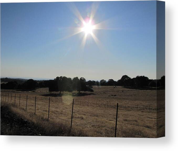 Country Sun Landscape Canvas Print featuring the photograph Sun Star by Susan Ince