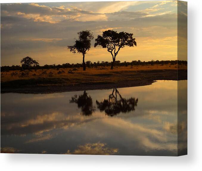 100324 Botswana & Zimbabwe Expeditions Canvas Print featuring the photograph Sunrise over Savuti Park by Gregory Daley MPSA