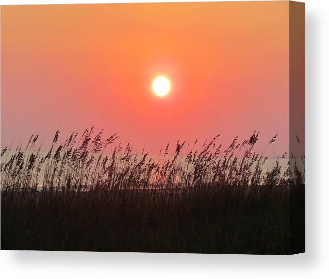 Sun Canvas Print featuring the photograph Sunset At The Beach by Cynthia Guinn
