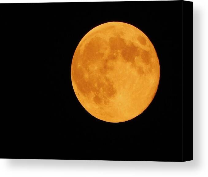 Super Moon Canvas Print featuring the photograph Super Moon by Judy Genovese
