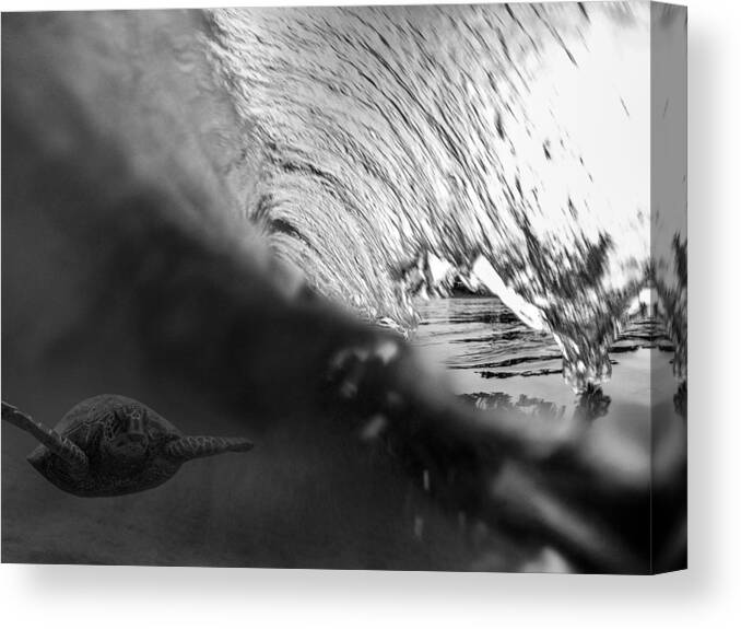 Sea Turtle Canvas Print featuring the photograph Surfing Honu by Brad Scott