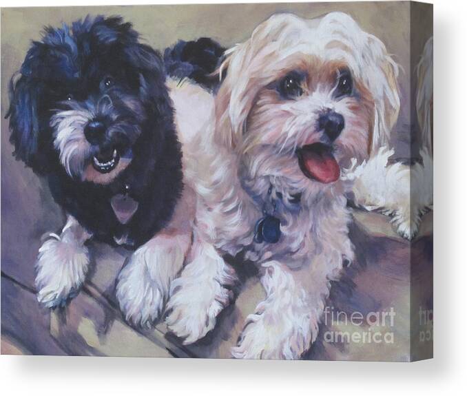 Havanese Canvas Print featuring the painting Sweet Havanese by Lee Ann Shepard