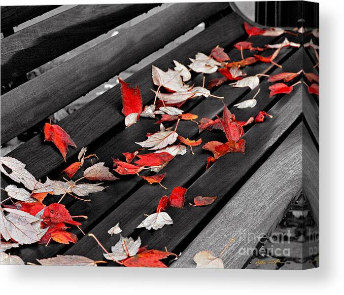 Fall Leaves Canvas Print featuring the photograph Sylva Bench 2003 by Matthew Turlington