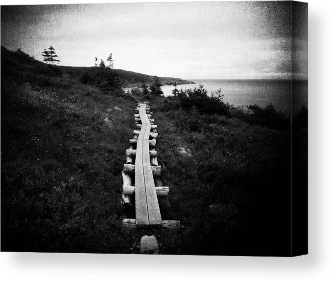 Sea Canvas Print featuring the photograph Take Me to the Sea - East Coast Trail by Zinvolle Art