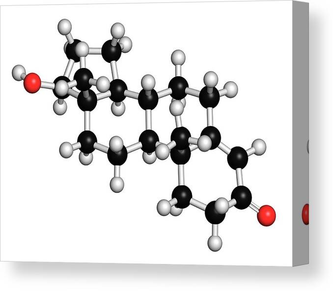 Testosterone Canvas Print featuring the photograph Testosterone Molecule by Molekuul