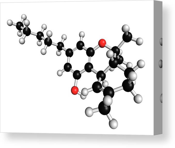 Thc Canvas Print featuring the photograph Thc Cannabis Drug Molecule by Molekuul