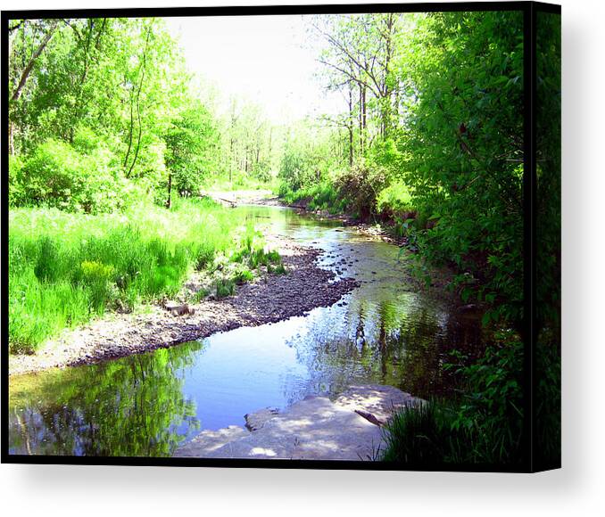 Shawn Canvas Print featuring the photograph The Babbling Stream by Shawn Dall