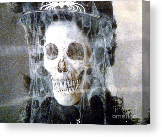 Abstract Canvas Print featuring the photograph The Bride Wore White by Lauren Leigh Hunter Fine Art Photography