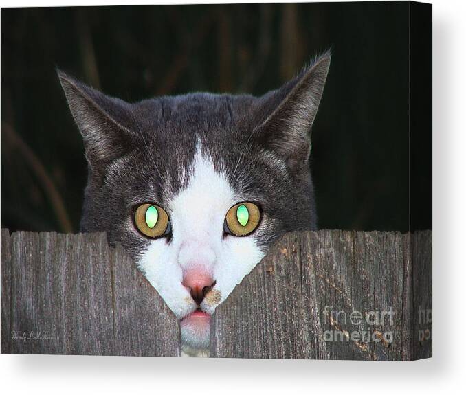 Cat Canvas Prints Canvas Print featuring the photograph The Cat's MEOW by Wendy McKennon