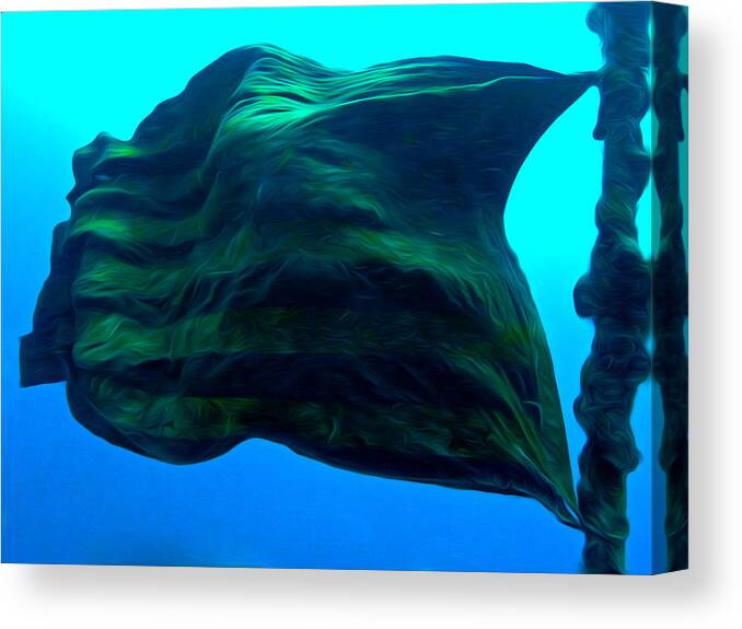 Flag Canvas Print featuring the photograph The Deep Flag of Glory by Terry Cosgrave