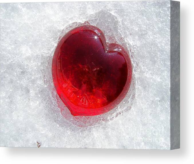 Heart Glass Snow Valentine Love Canvas Print featuring the photograph The Gift by Kristine Nora
