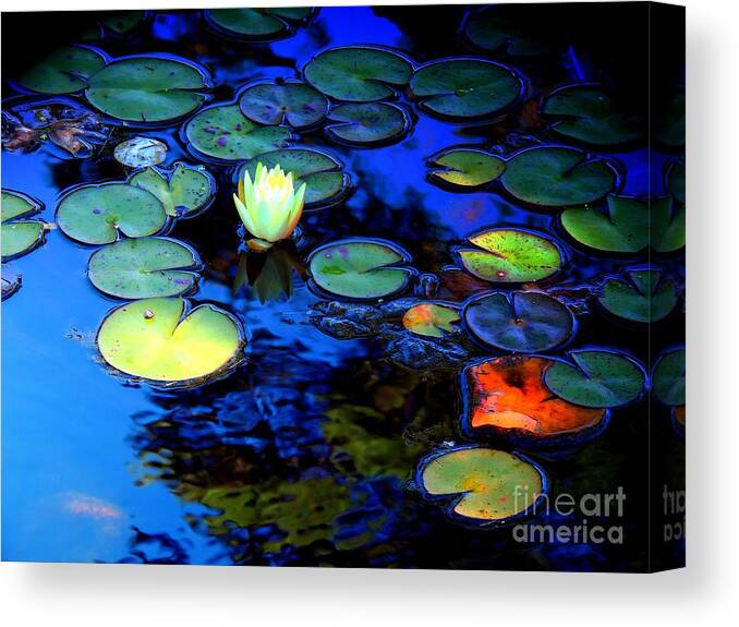 Flora Canvas Print featuring the photograph The Last Lily by Marcia Lee Jones