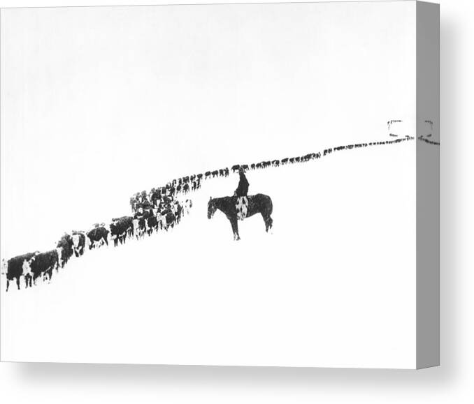 1920s Canvas Print featuring the photograph The Long Long Line by Underwood Archives Charles Belden