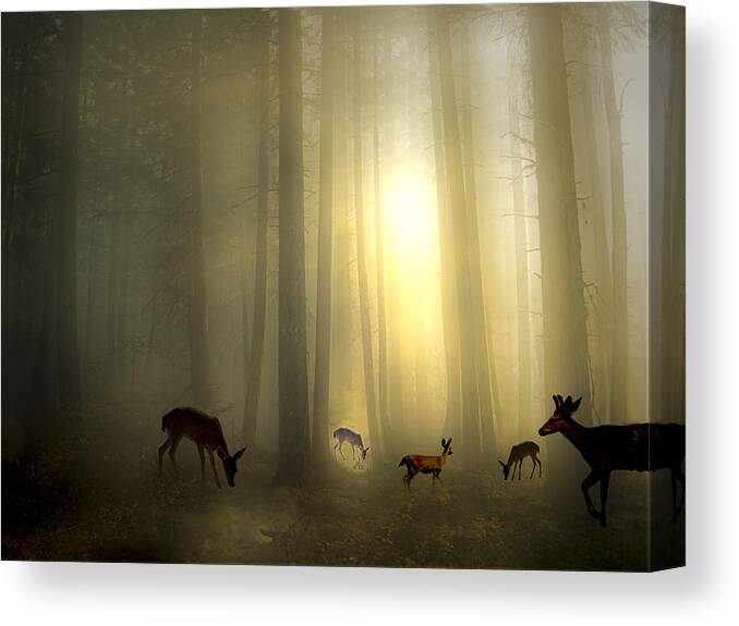 Animal Canvas Print featuring the photograph The Magic Of Sunrise by Diane Schuster