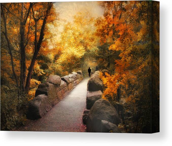 Nature Canvas Print featuring the photograph The Ramble by Jessica Jenney