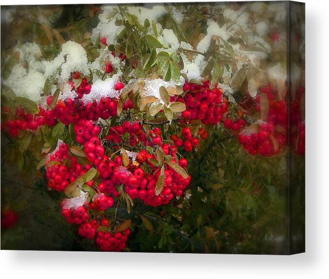 Arizona Canvas Print featuring the photograph The Reds and Greens of the Season by Lucinda Walter