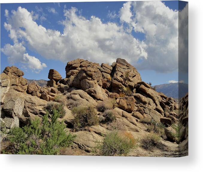  Palms To Pines Highway Canvas Print featuring the photograph The Rock Garden by Michael Pickett
