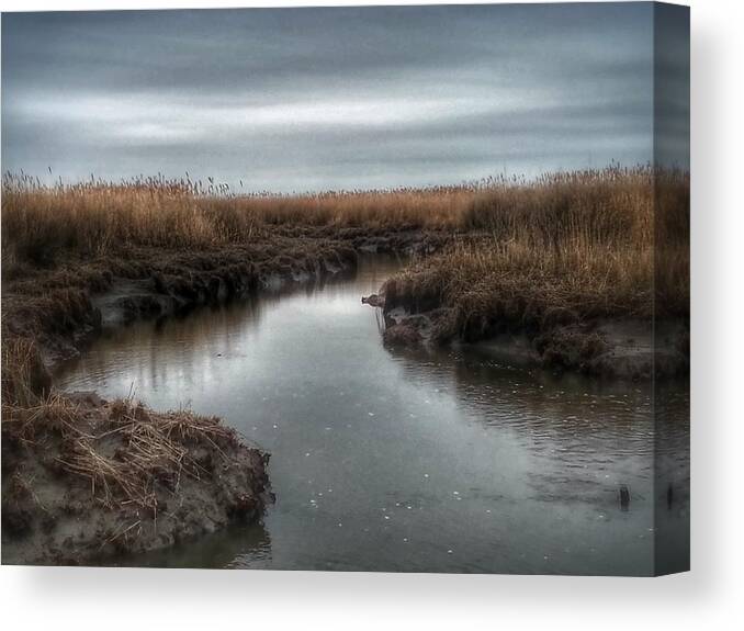 Landscape Canvas Print featuring the photograph The Stillness Calms Me by Malcolm Van Atta III