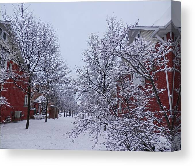 Winter Canvas Print featuring the photograph The Stillness of Winter 1 by Pema Hou