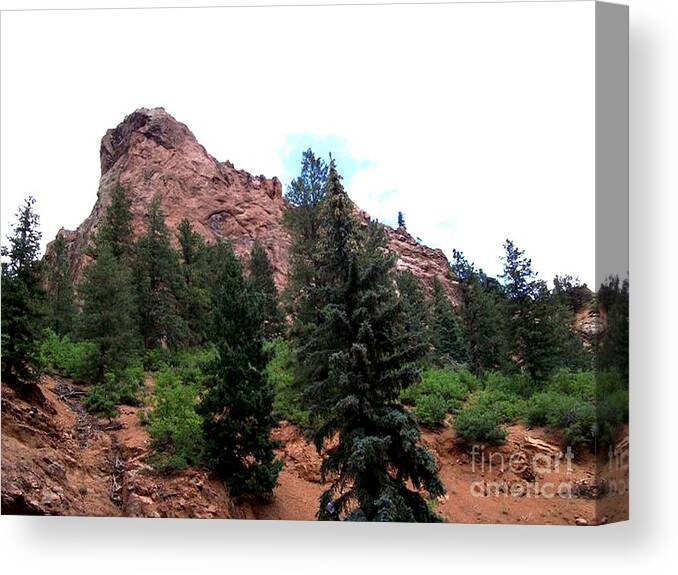 Landscape Canvas Print featuring the photograph The Summit by James and Donna Daugherty