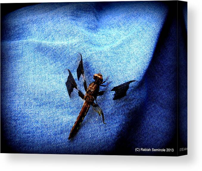 Dragonfly Canvas Print featuring the photograph The Visitor by Rabiah Seminole