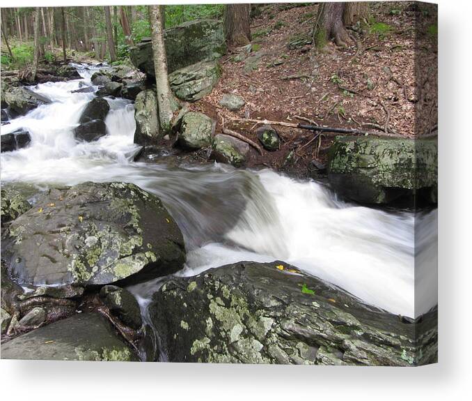 Bushkill Canvas Print featuring the photograph The Watering Place by Richard Reeve