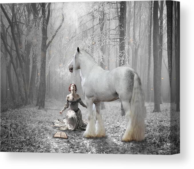 Horse Canvas Print featuring the photograph The White Fairytale by Terry Kirkland Cook