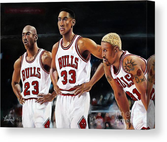 chicago bulls scottie pippen michael jordan dennis rodman