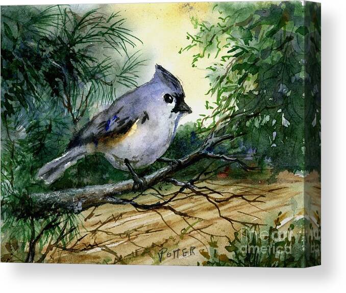 Bird Canvas Print featuring the painting Titmouse by Virginia Potter