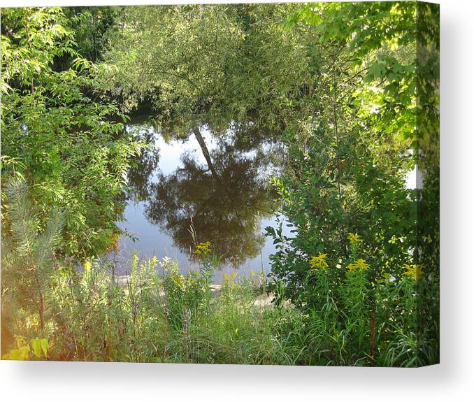 Tree Reflection Canvas Print featuring the photograph Tree Reflection by Dr Carolyn Reinhart